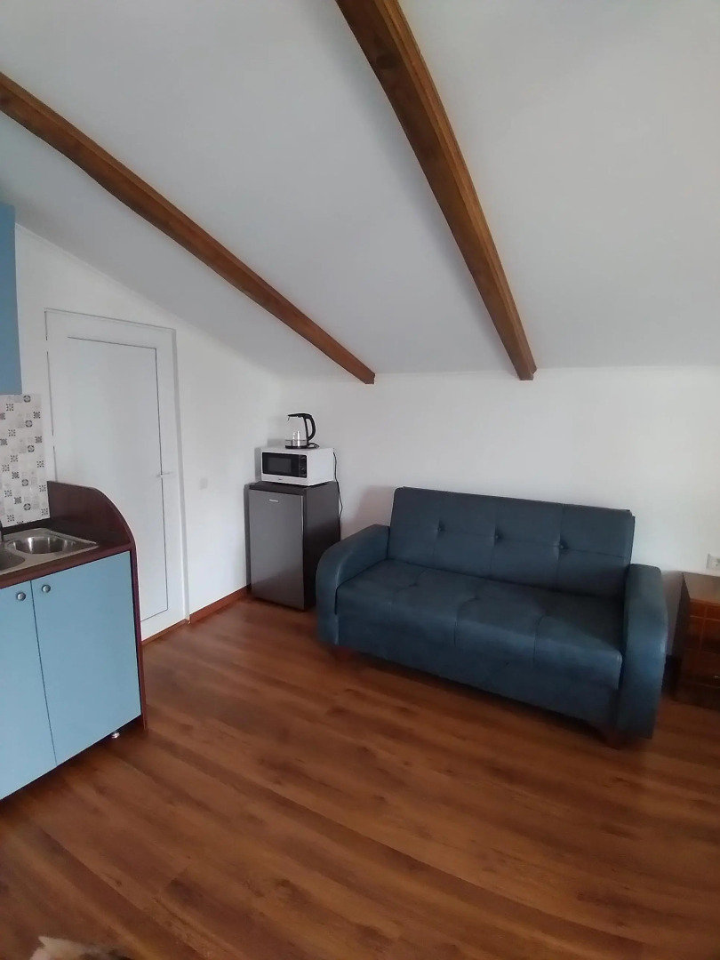 Апартаменты Гостевые апартаменты 1