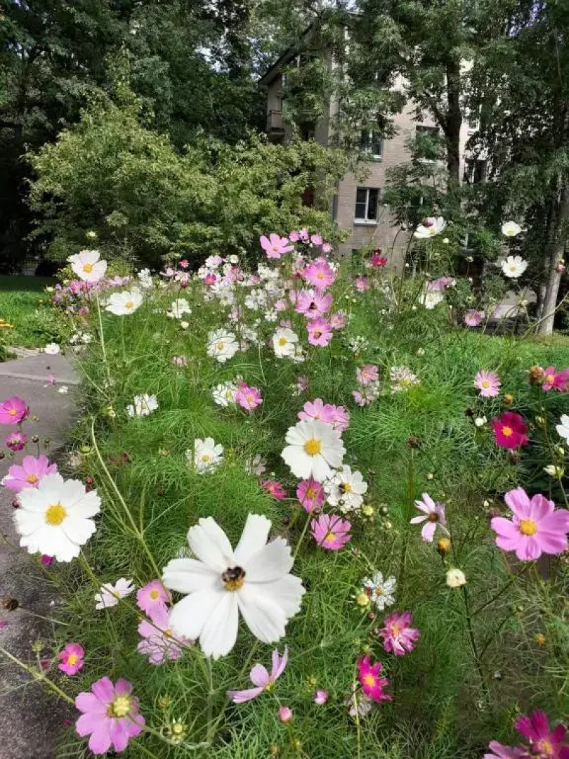 Квартира Soul Home