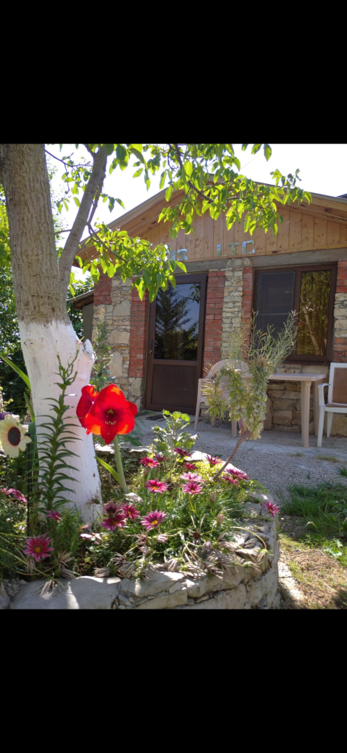 Гостевой дом Эвелинка