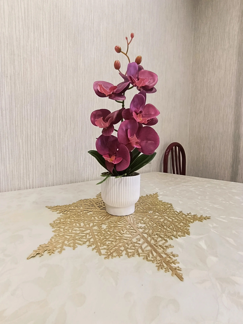 Квартира Кирова 32