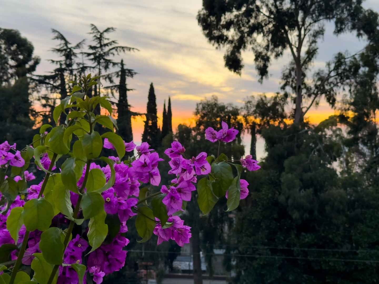 Отель Аимара