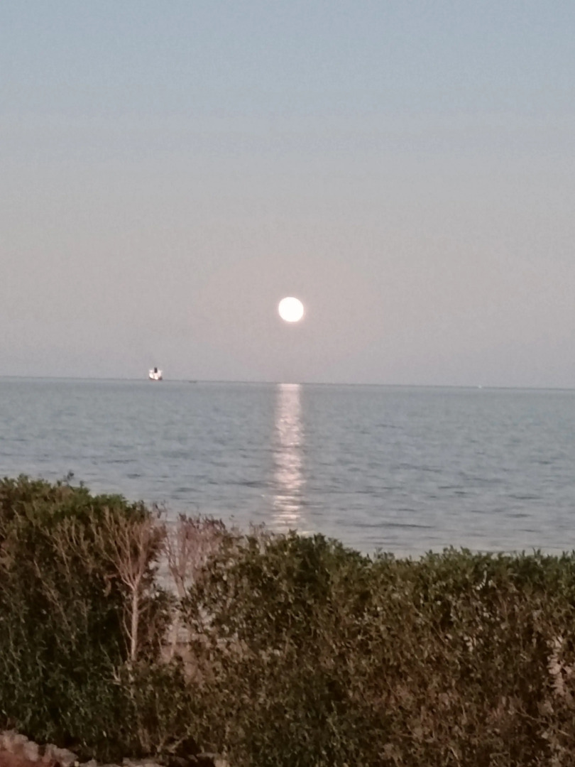 Вилла Coral Paradise Villa