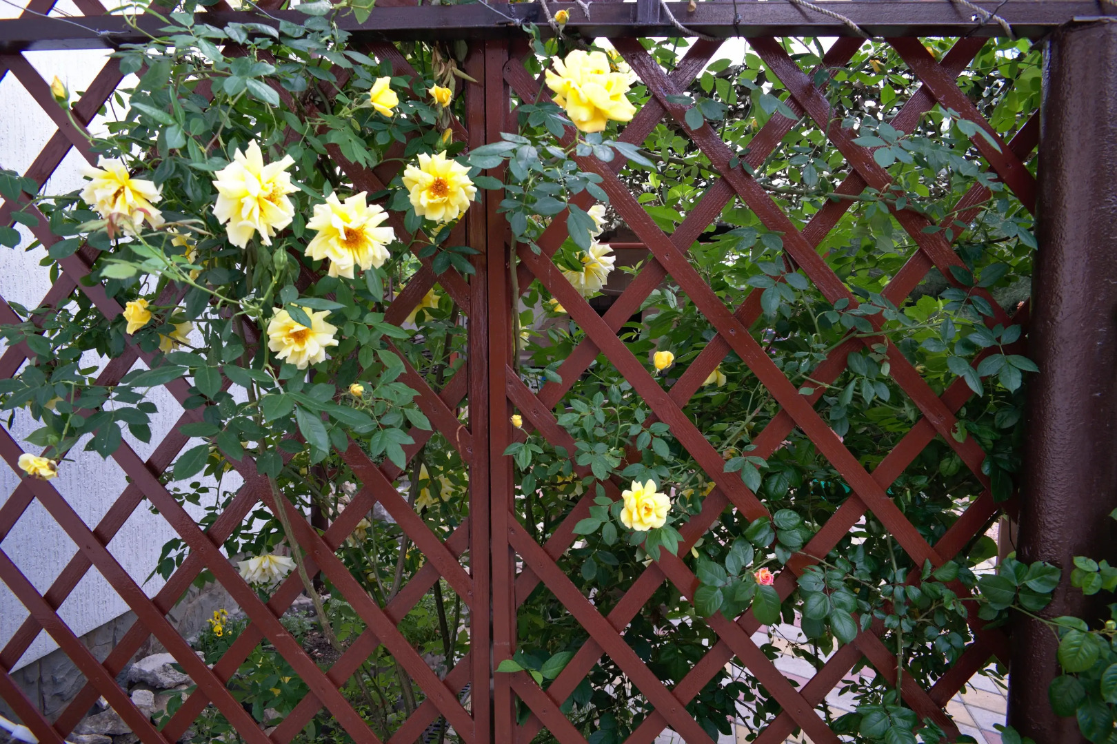 Гостевой Дом Светоч