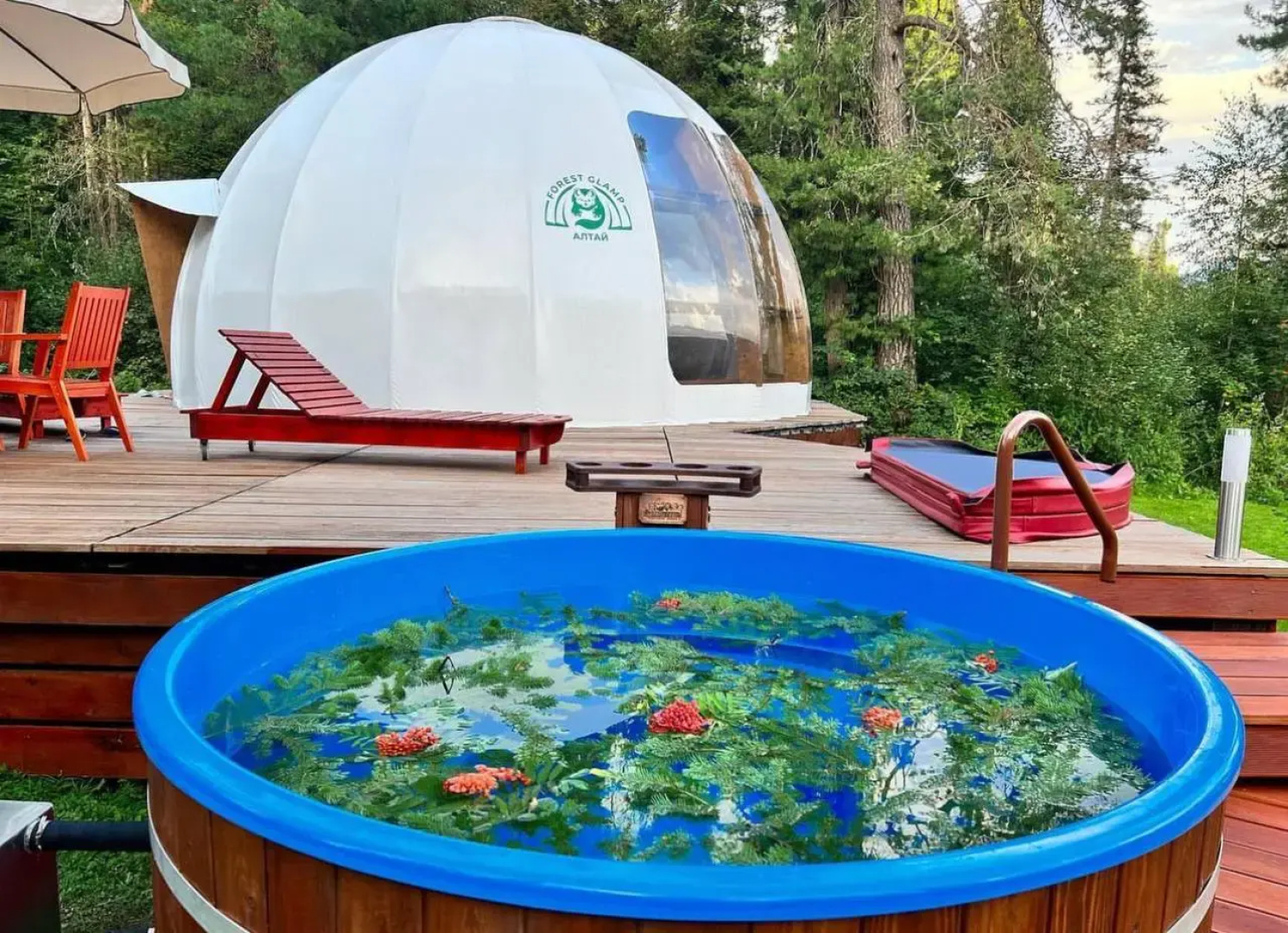 Шале Алтай Forest Glamp