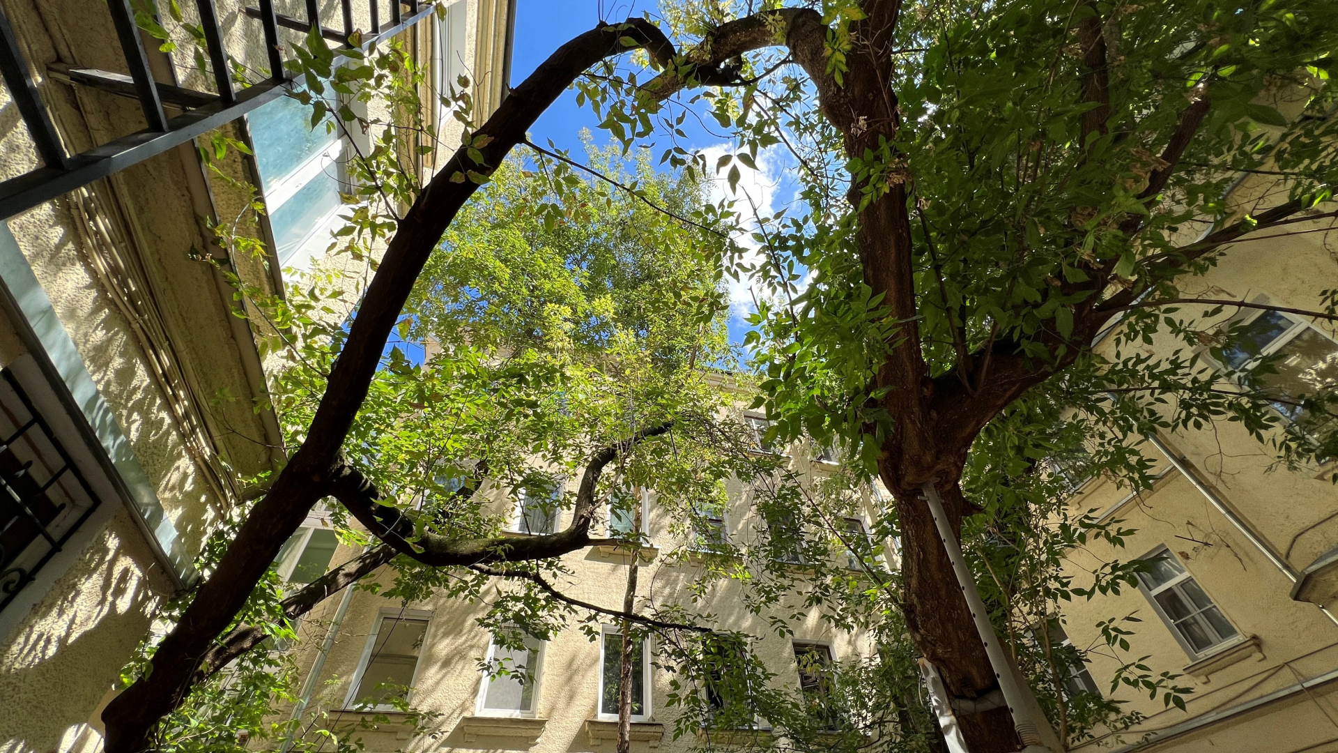 Апартаменты EasyGuest у метро Цветной бульвар