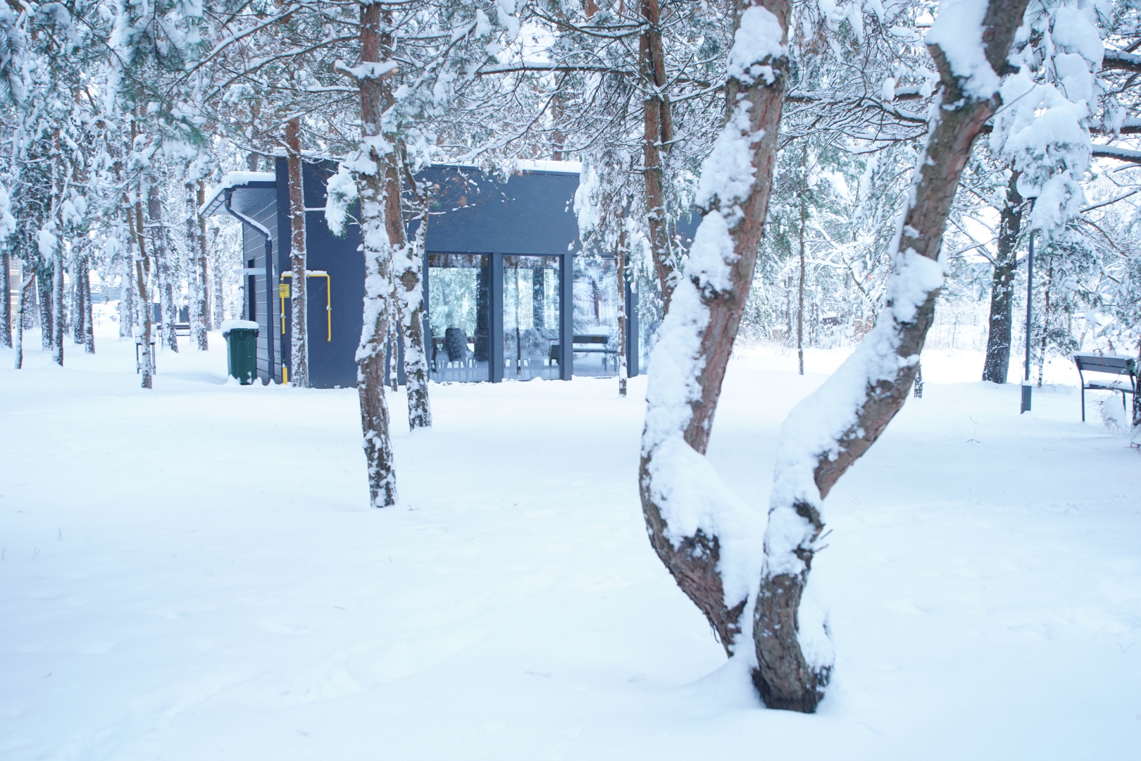 Отель Green Park