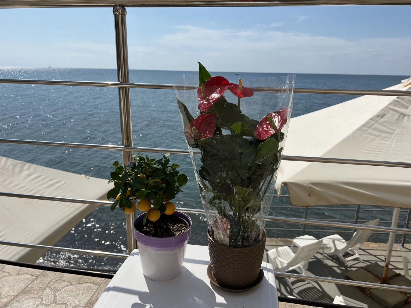 Мини отель De-La-Scuto