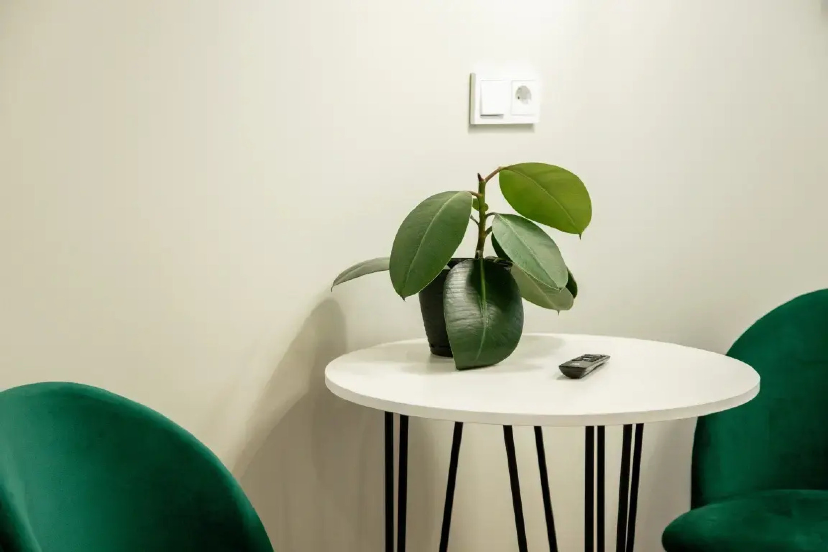 Апартаменты На Семена Лагоды (1)