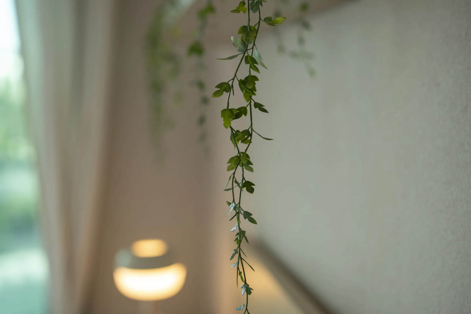 Апартаменты Maxi Sirius Town