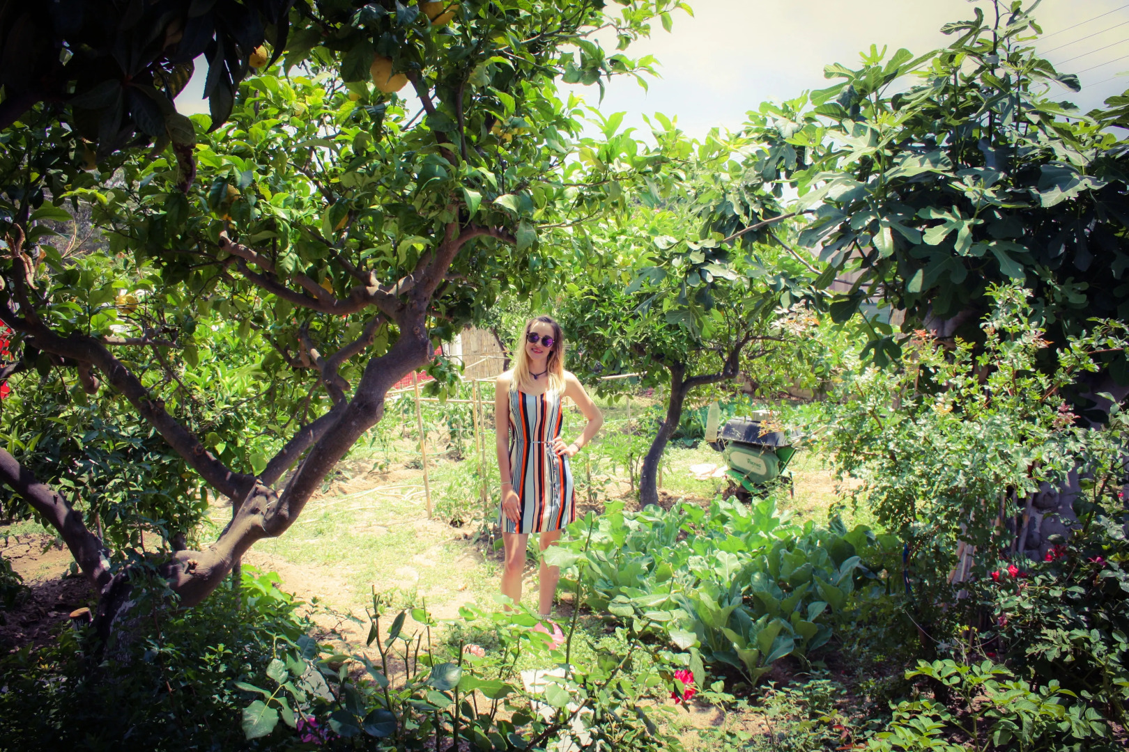 Гостевой дом AlGreco