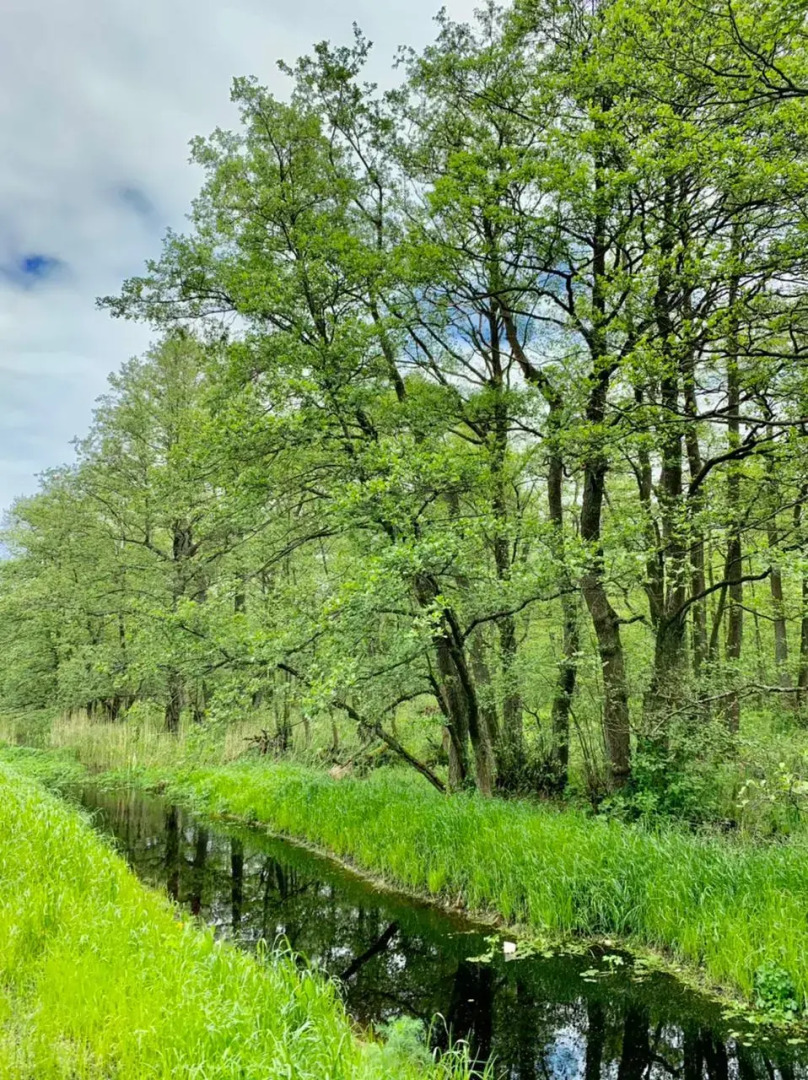 Квартира Кранц Апарт