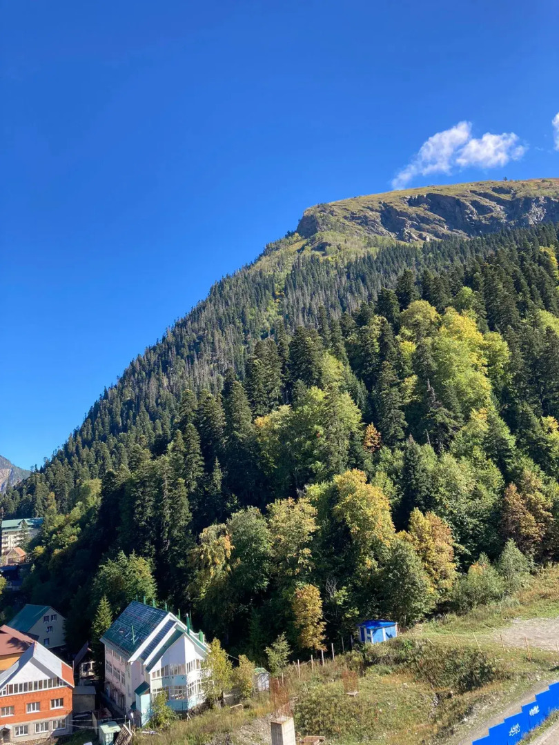 Апартаменты Уютная Студия в Самом Центре Домбая