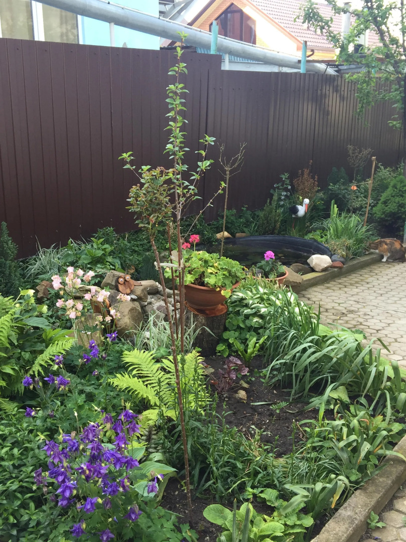 Гостевой дом на Красных партизан