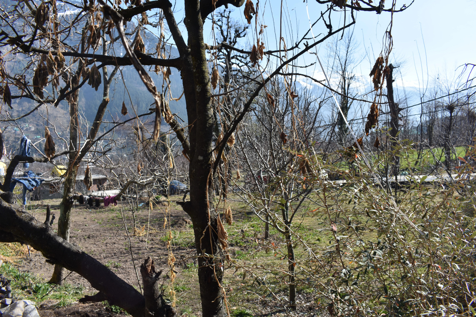 Апартаменты Nishant