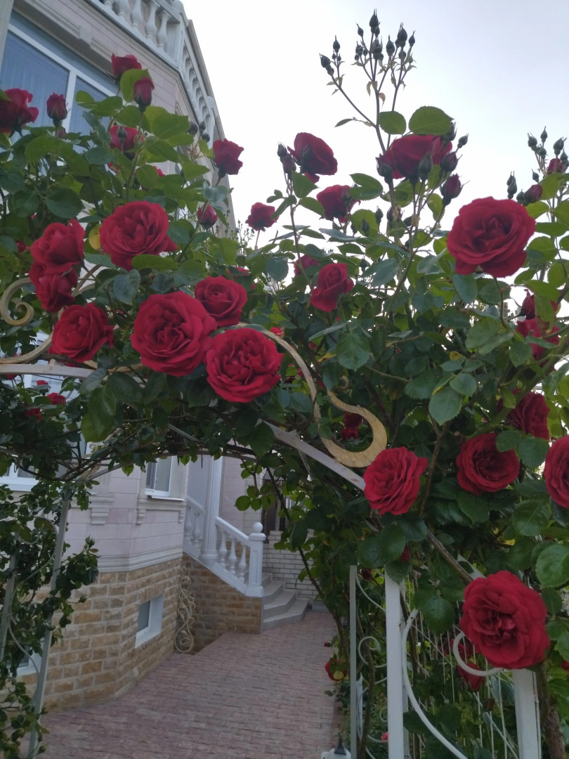 Гостевой Дом Елена