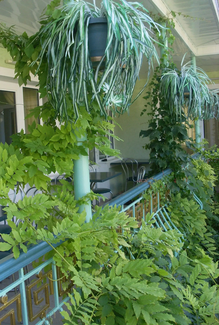 Меблированные комнаты Изумрудный