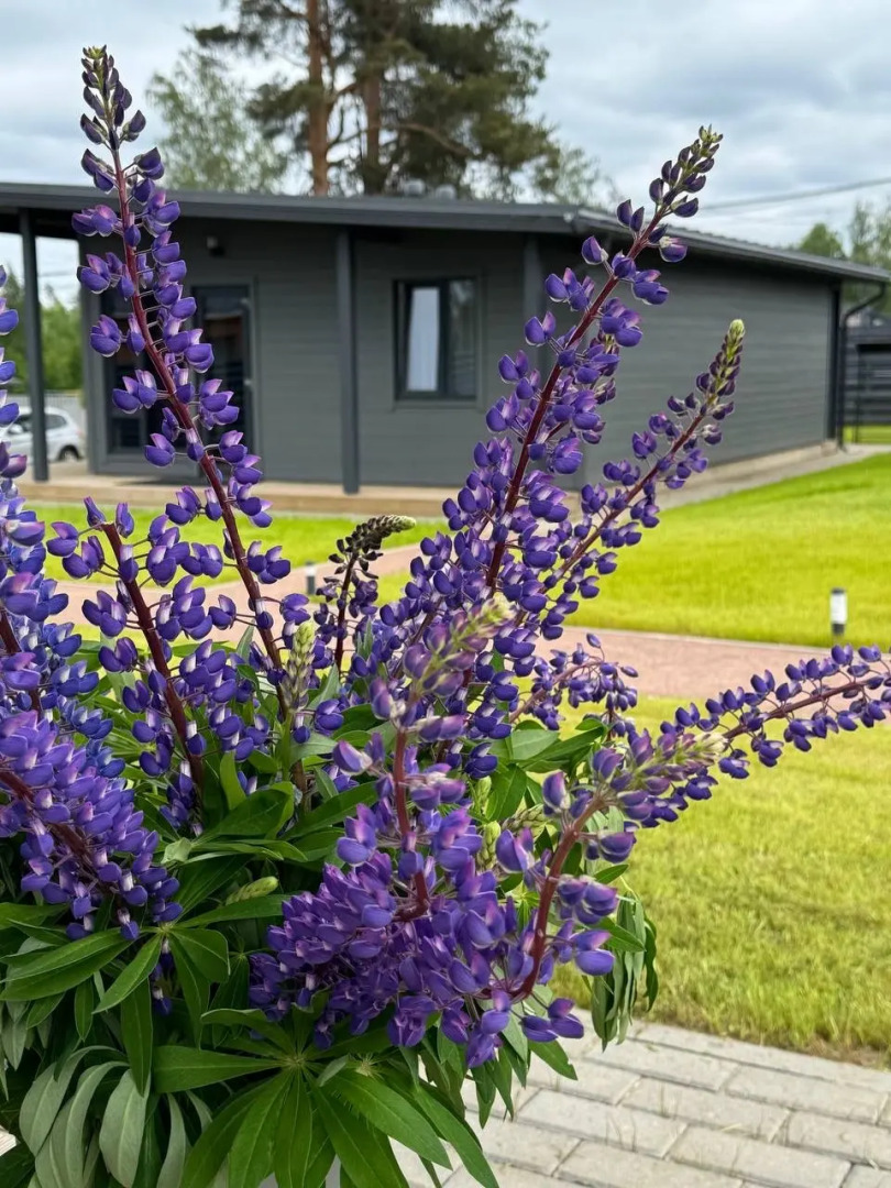 Шале Горки47