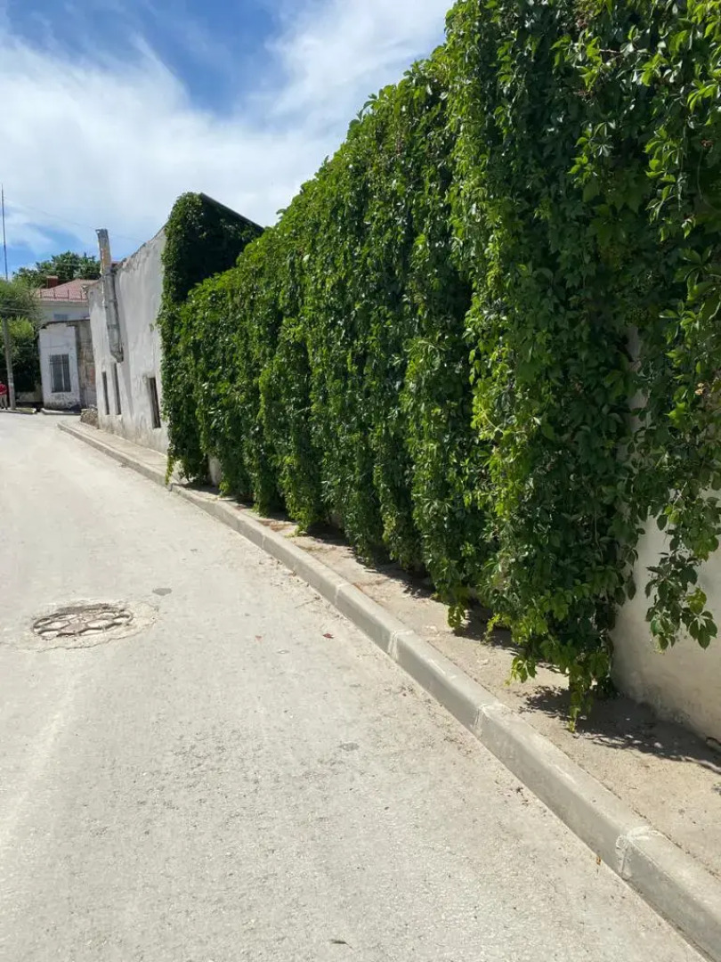 Гостевой дом Коронелло