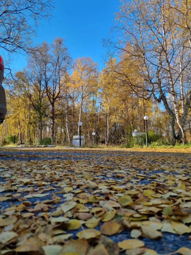 Отель Лапланидия