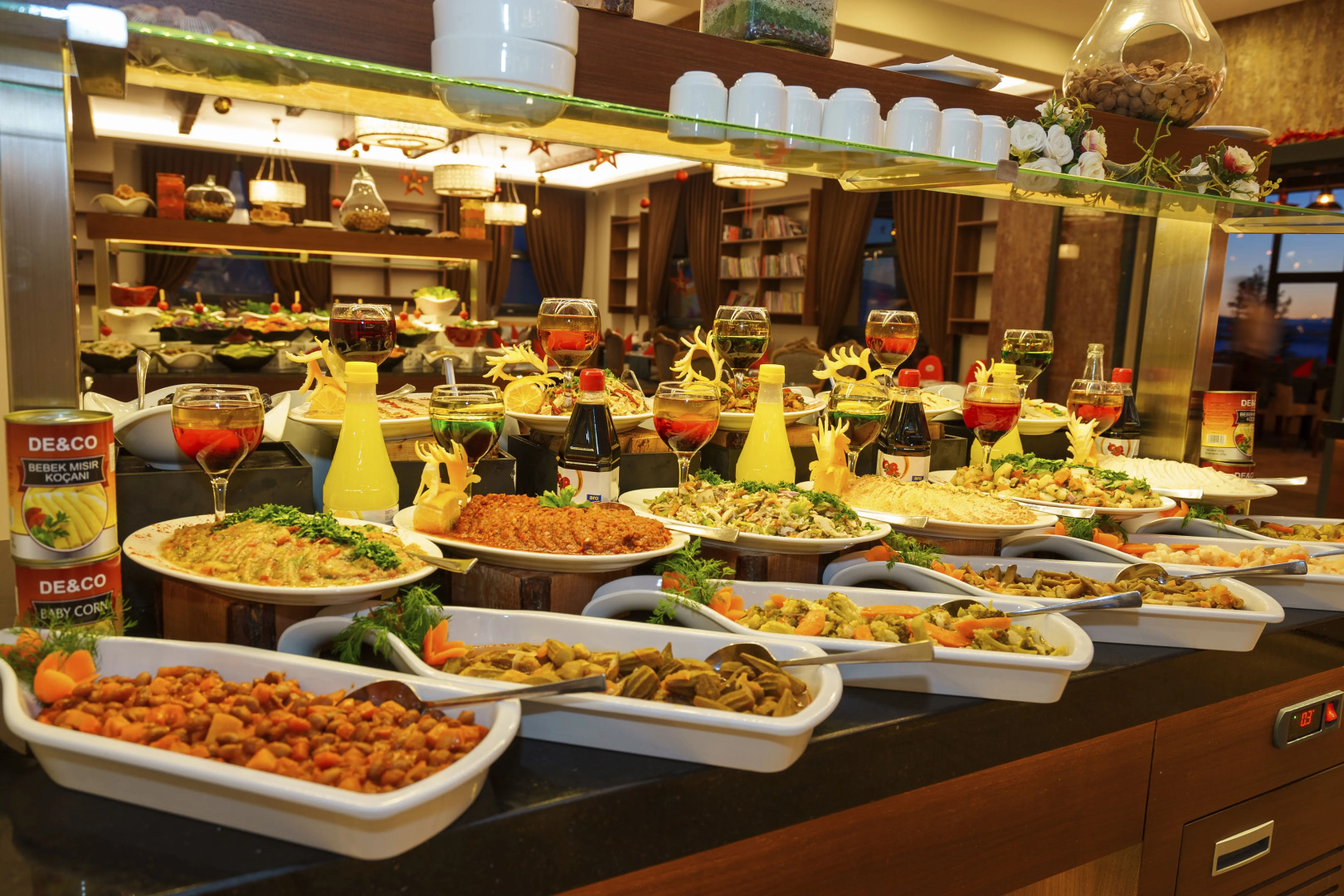 Library Hotel Erciyes