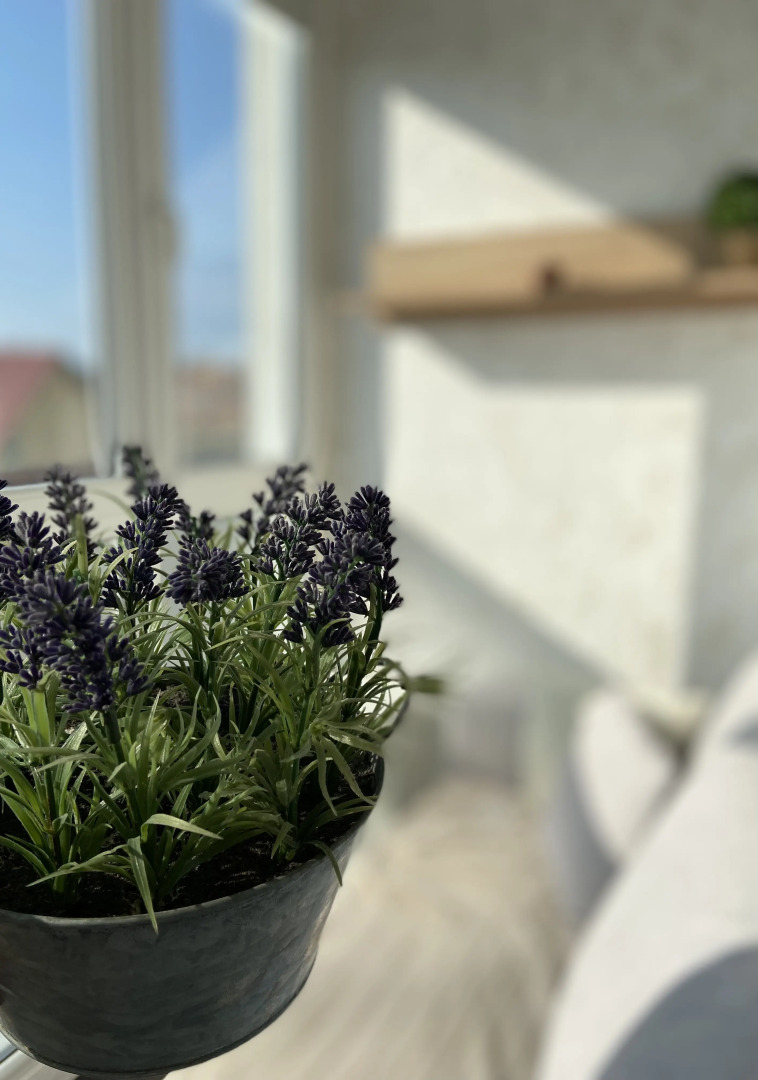 Апартаменты Семейный Комфорт