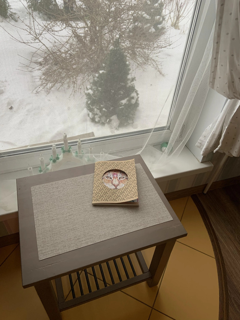 Гостевой дом на втором Тригорском