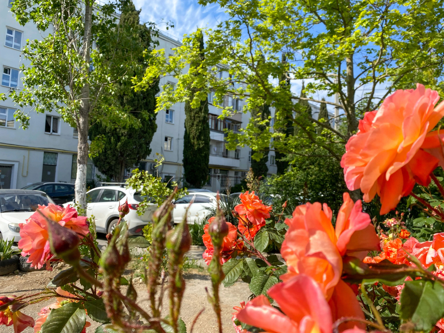 Квартира Уютная на ПОРе