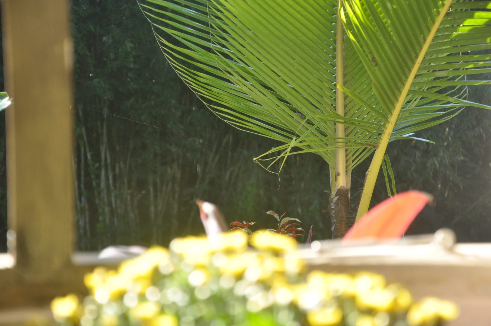 Хостел Tepi Sawah lodge