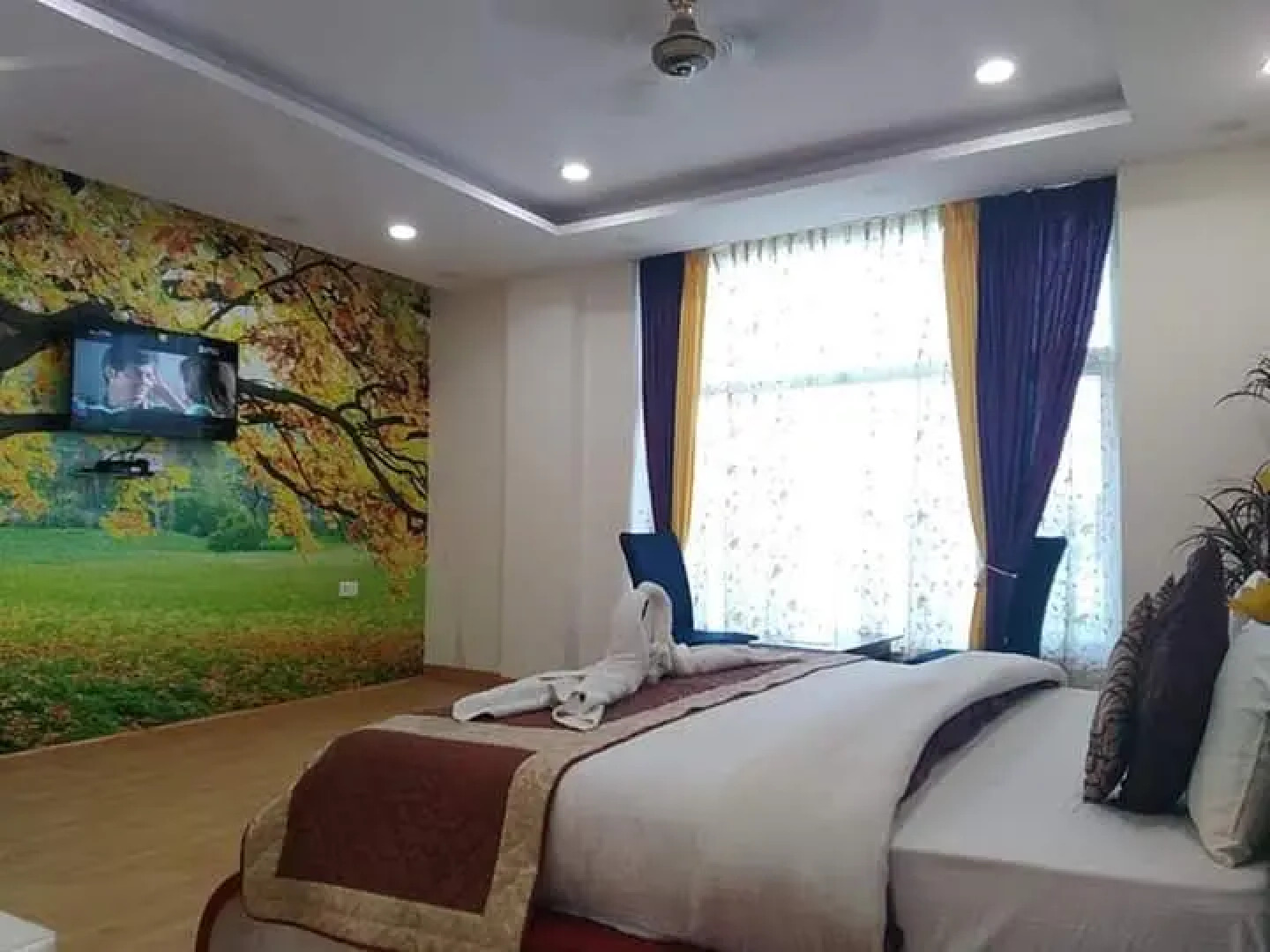 Отель Green View Palace