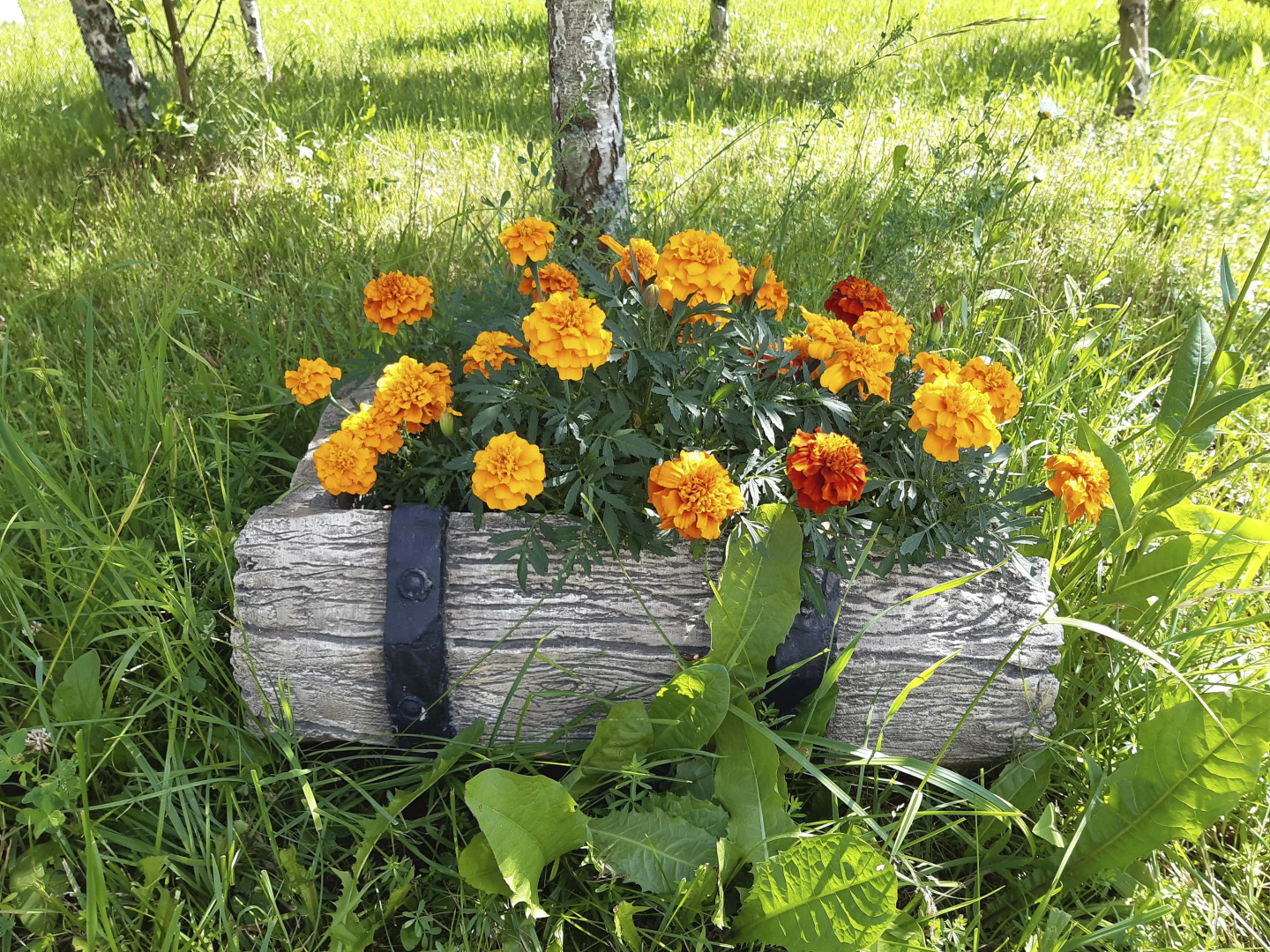 Гостевой дом в деревне Чернокуново