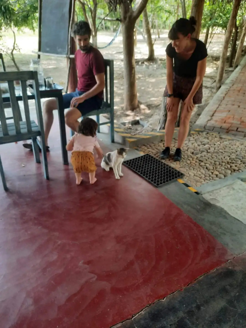 Отель Wild Wadi Wilpattu