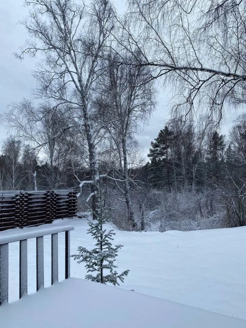 Гостевой дом Экодом Лиса Алиса