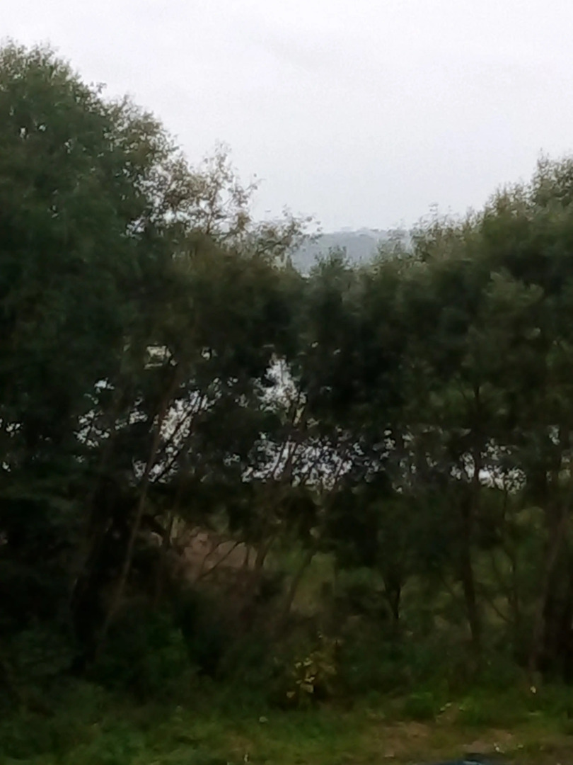 Гостевой Дом Родничок