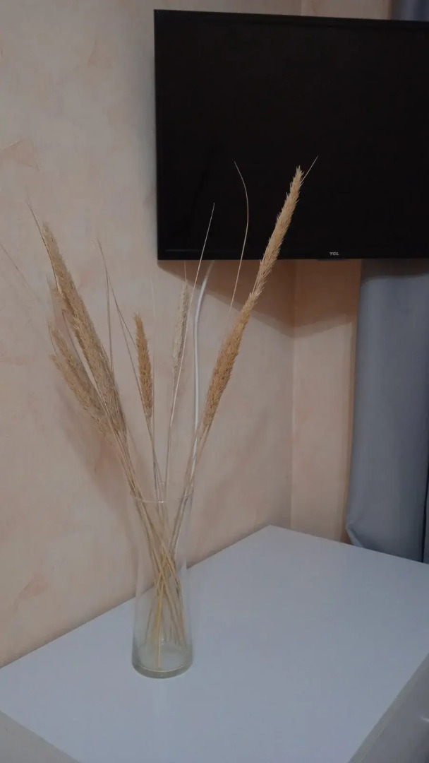 Квартира Уютная в Центре