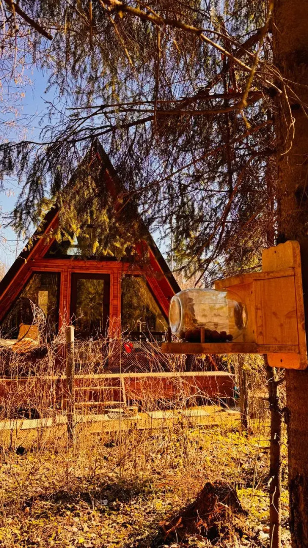 Частный дом Лисичкин дом