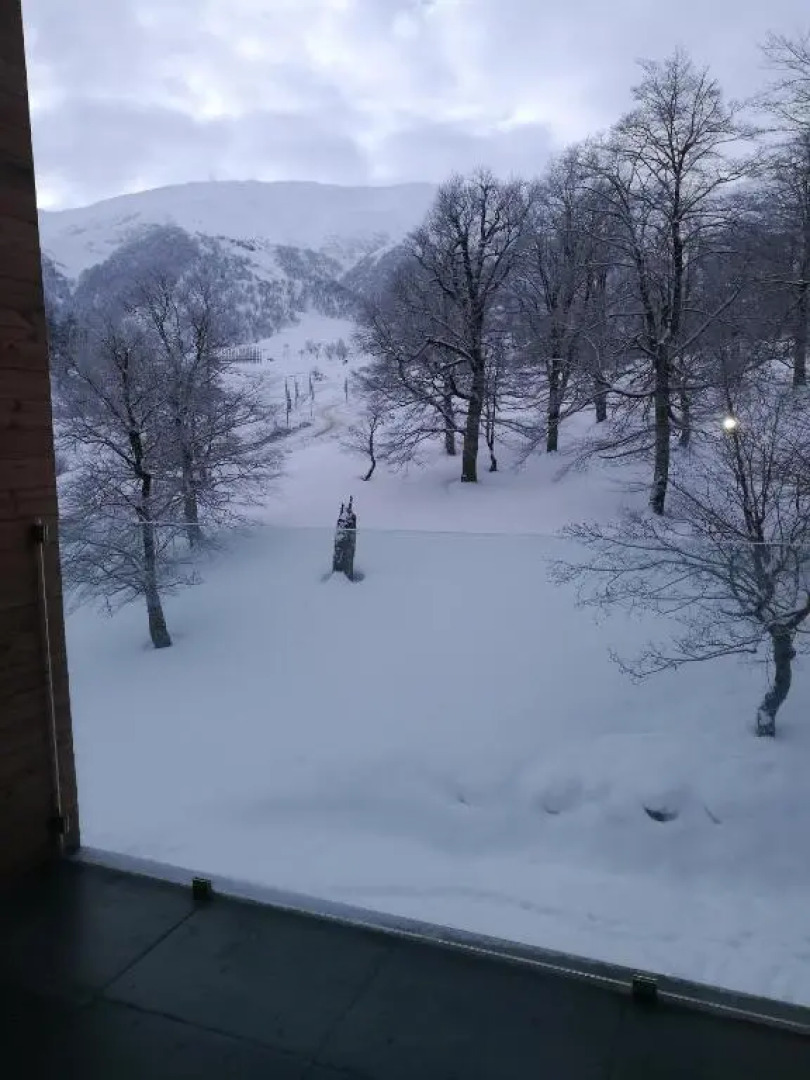 Апартаменты in The Valley Bakuriani 311