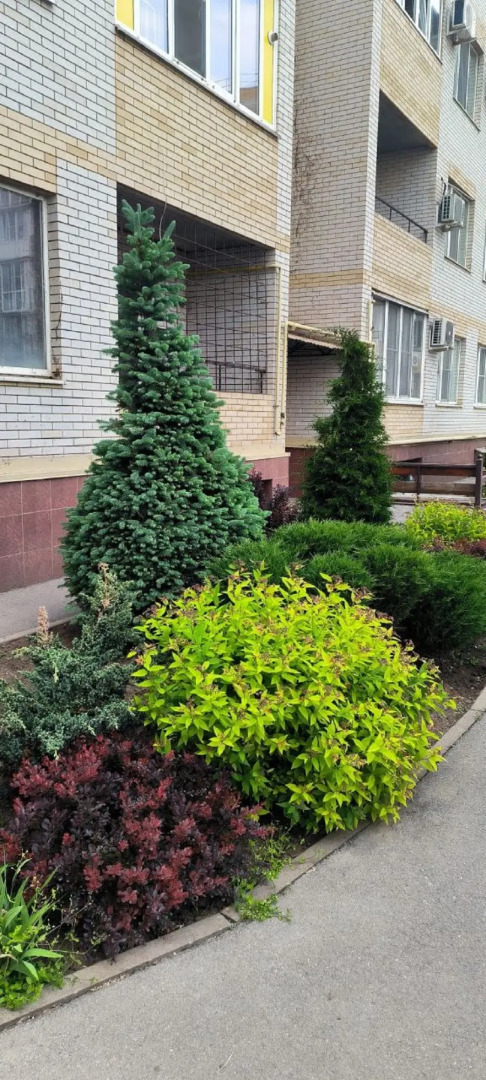 Квартира Уютная студия в центре города рядом с парком и Елисеевским пляжем