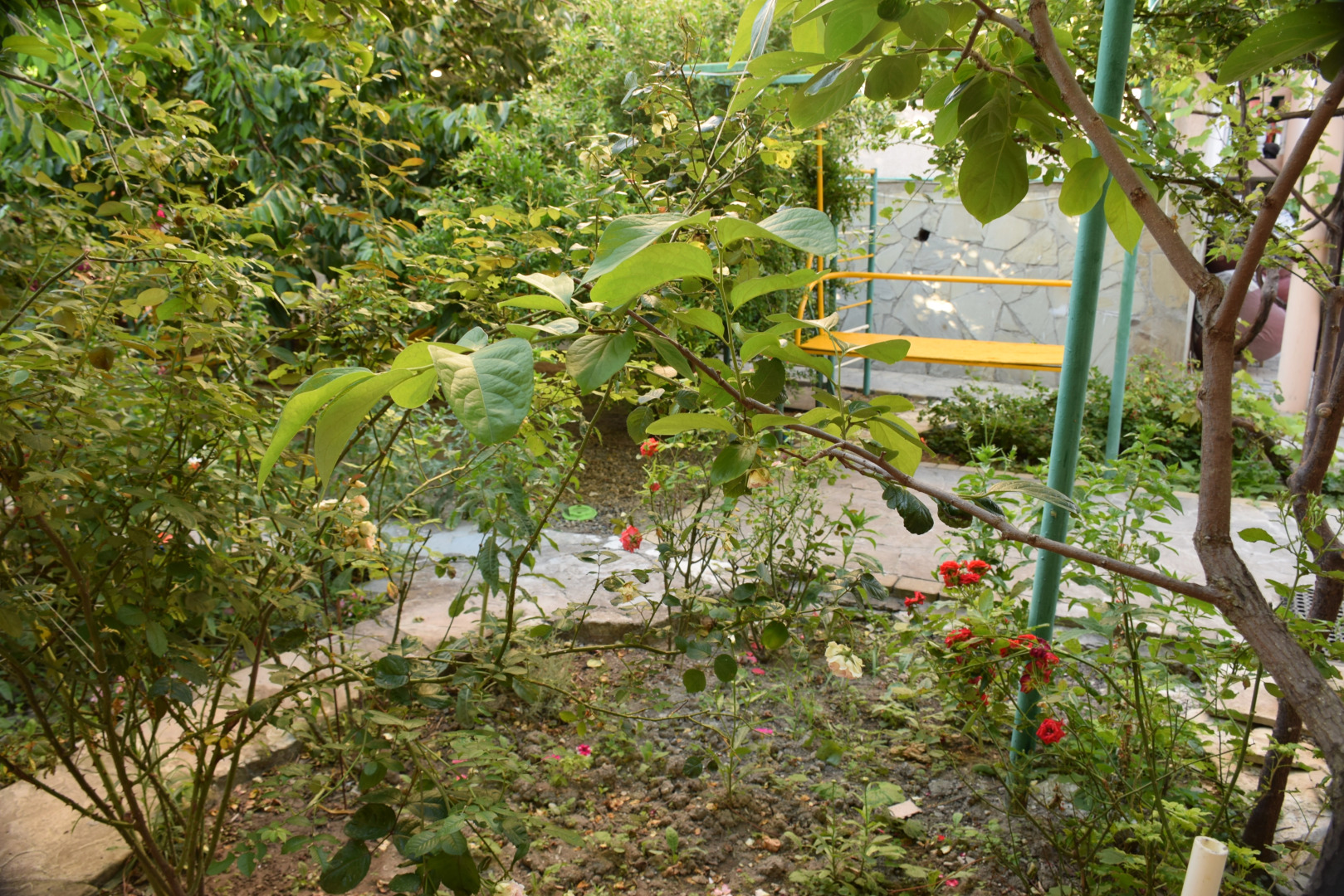 Гостевой Дом Максим