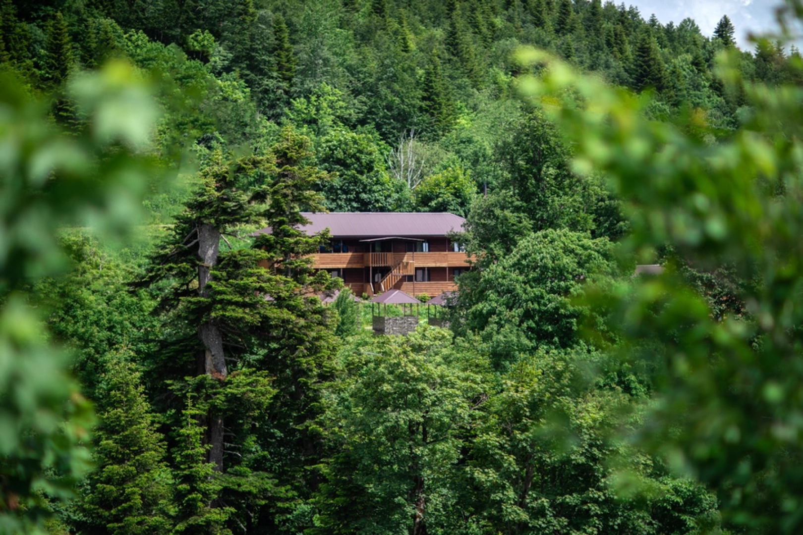 База отдыха Панорама