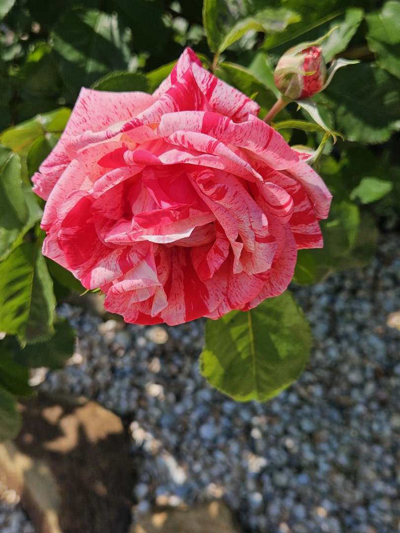 Апартаменты Holiday Home at Frunze