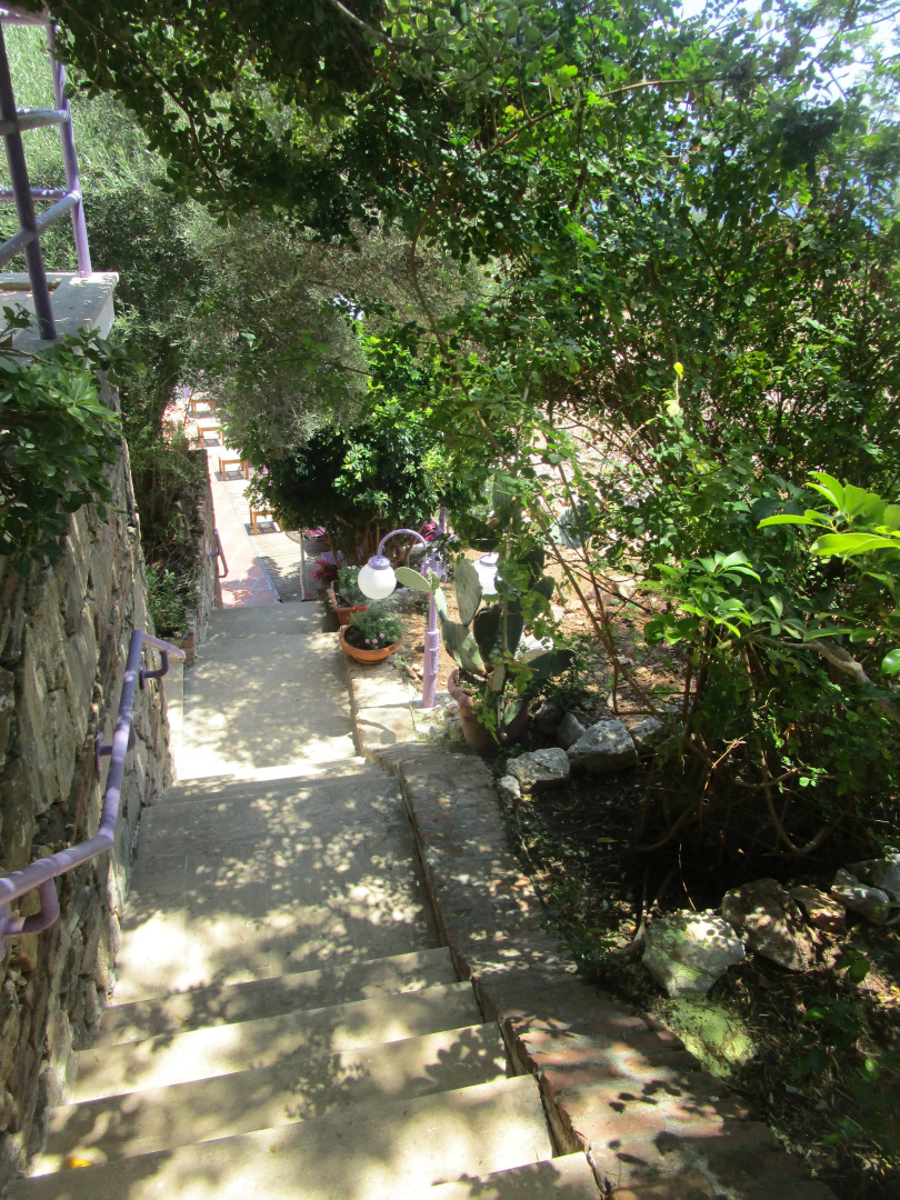 Отель Lavanta Hotel Turunc