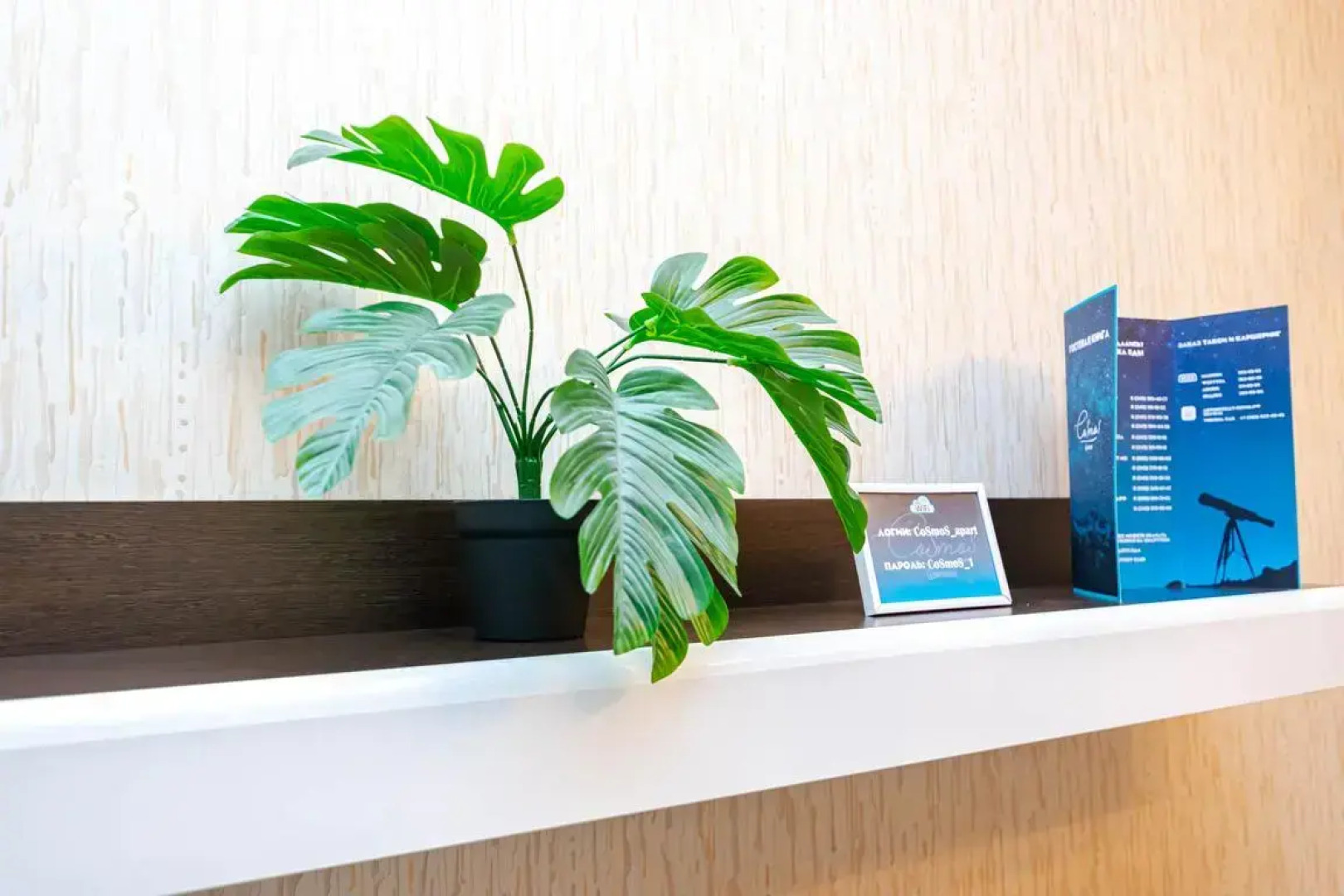 Апартаменты Cosmos Apart на Революции 52 В (2)