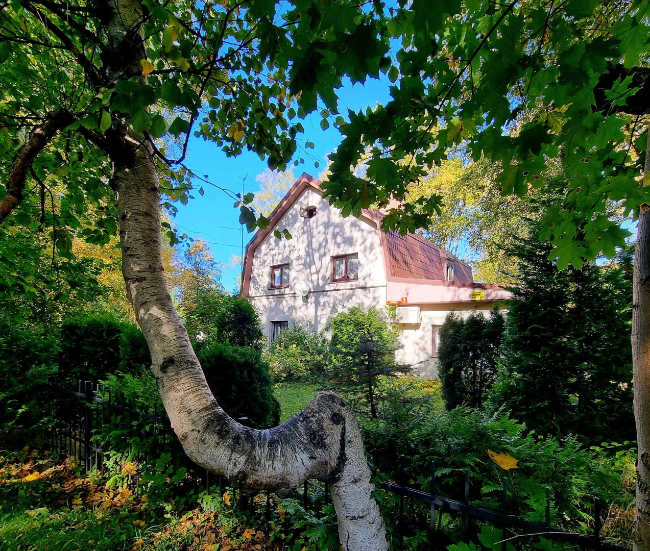 Квартира Апартаменты Амбер в Самом Центре с Отдельным Входом