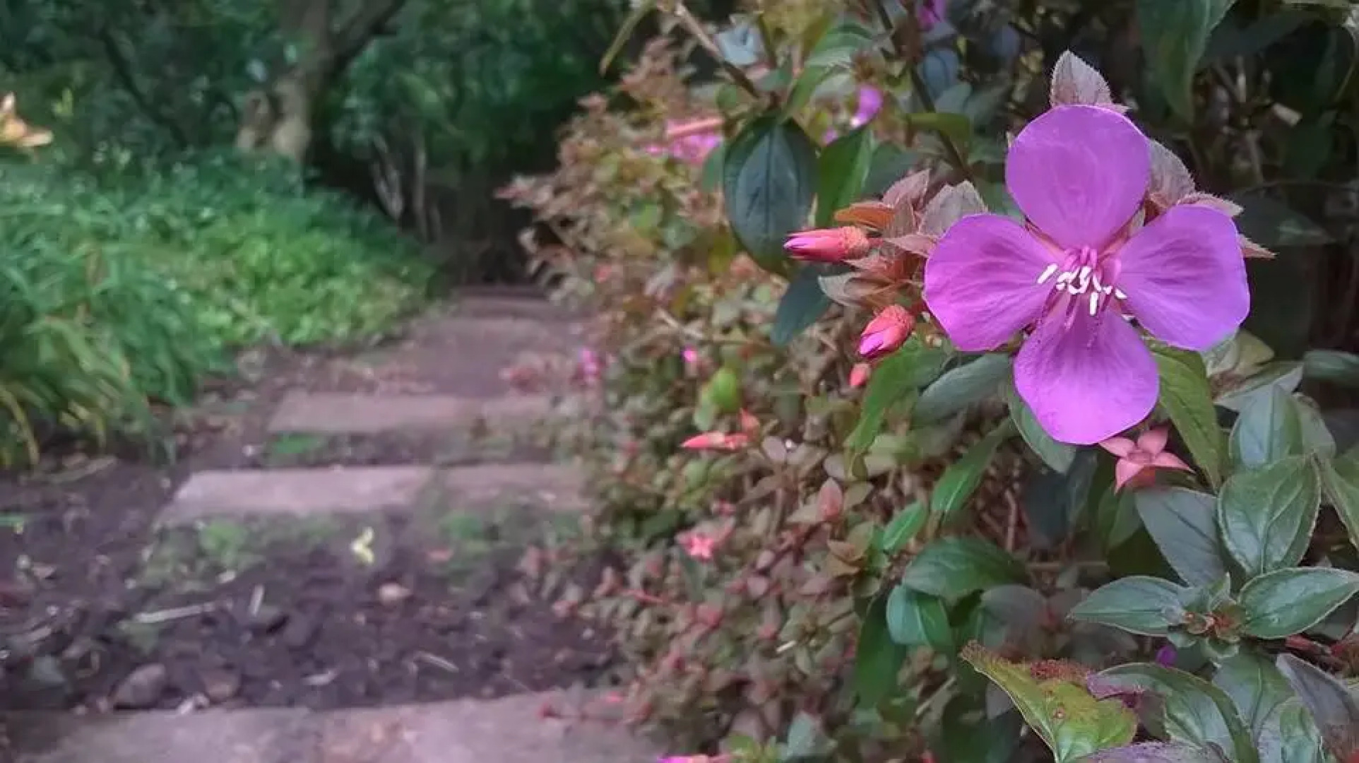 Гостевой Дом ArendsRus Counrty Lodge