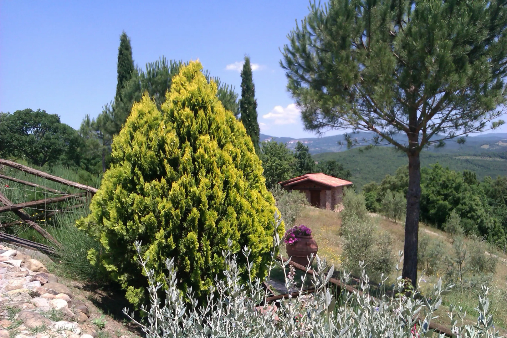 Agriturismo Podere San Lorenzo 1866