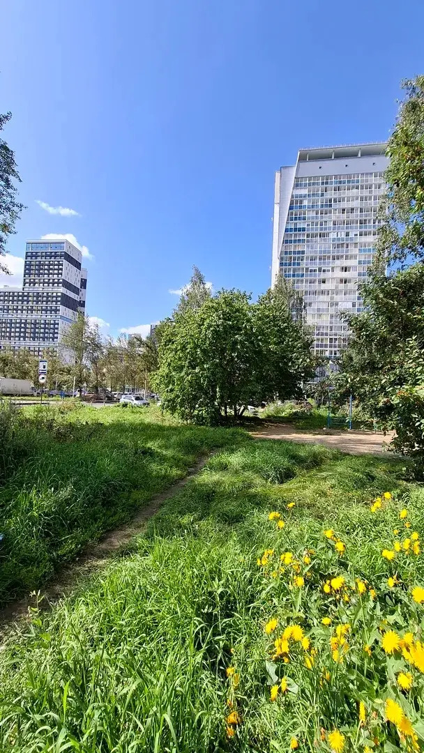 Апартаменты Просторные с видом на парк