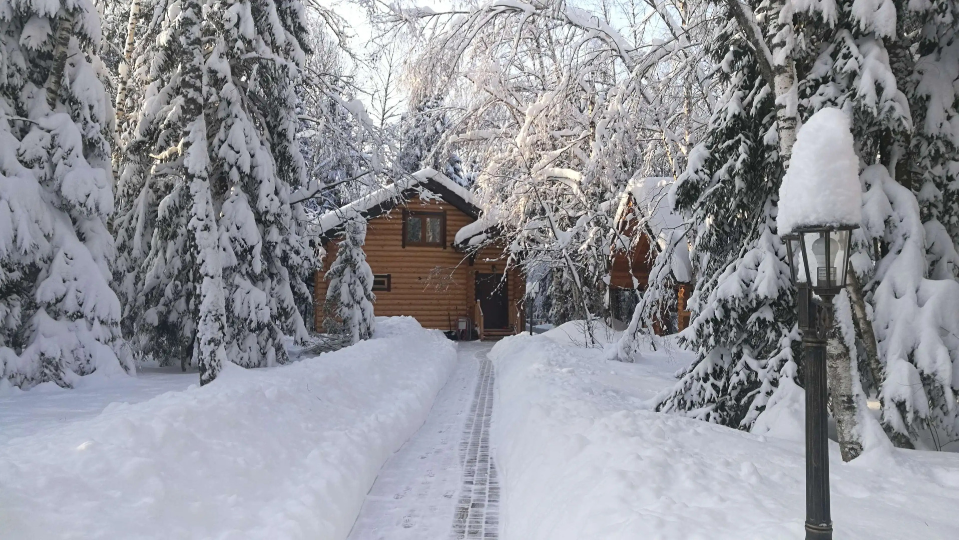 Гостевой дом Дикий Лис