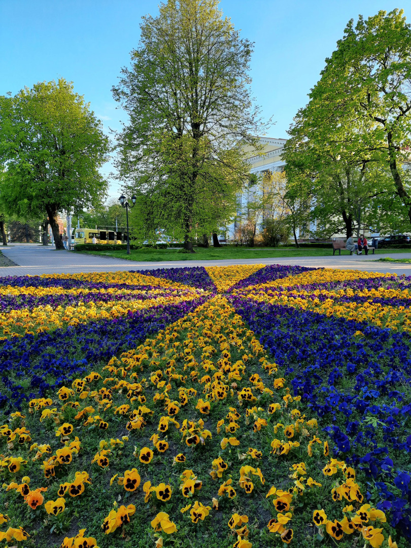 Квартира Двухкомнатная в Историческом Центре Амалиенау 1
