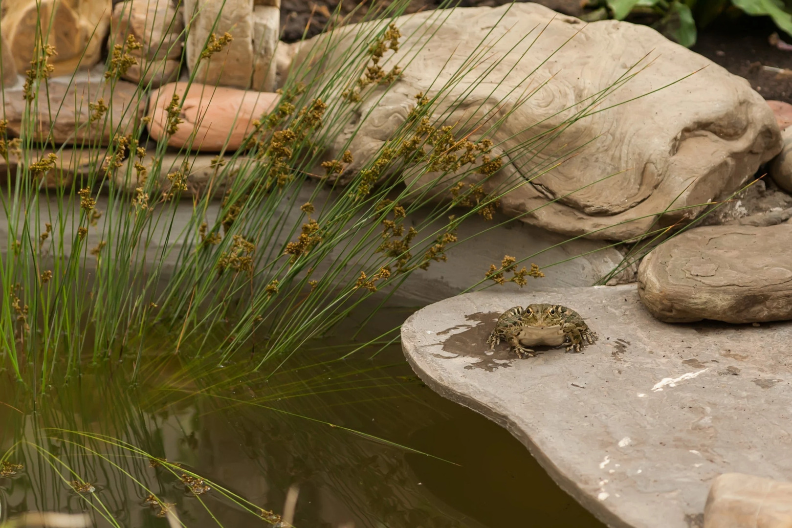 Отель Гермес