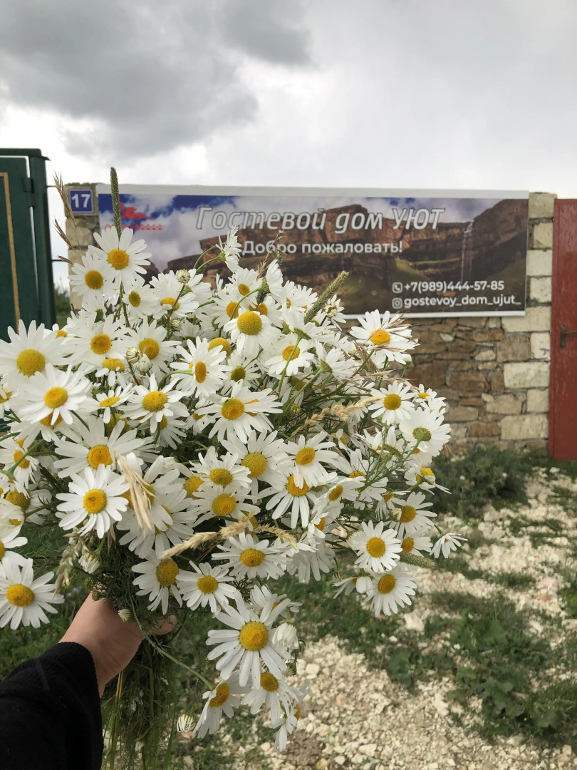 Гостевой дом Уют